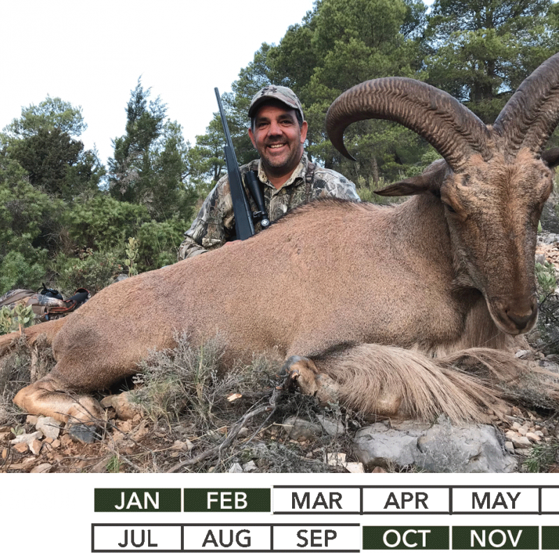 Big Hunting Spain Unique Hunting Experiencies